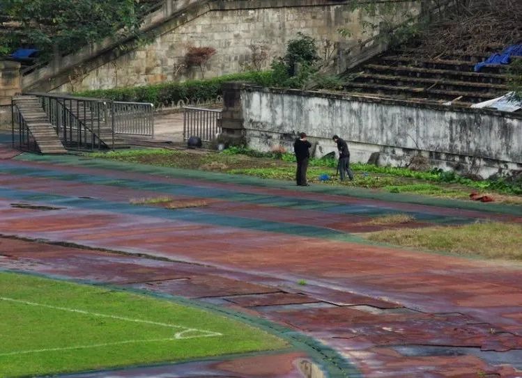久违了球场足球,大田湾体育场多少钱