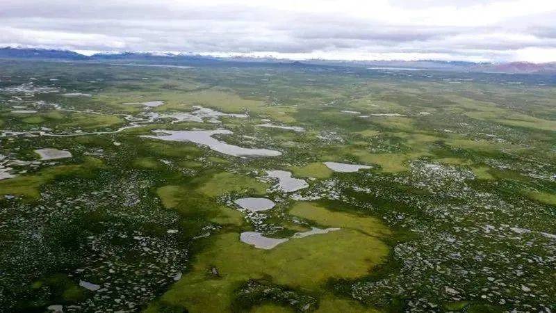 雪山下的某个小镇,雪山下的梦幻球场