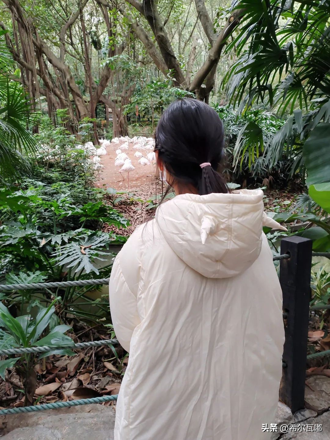 长隆游玩攻略推荐,长隆海洋王国游玩攻略大全视频