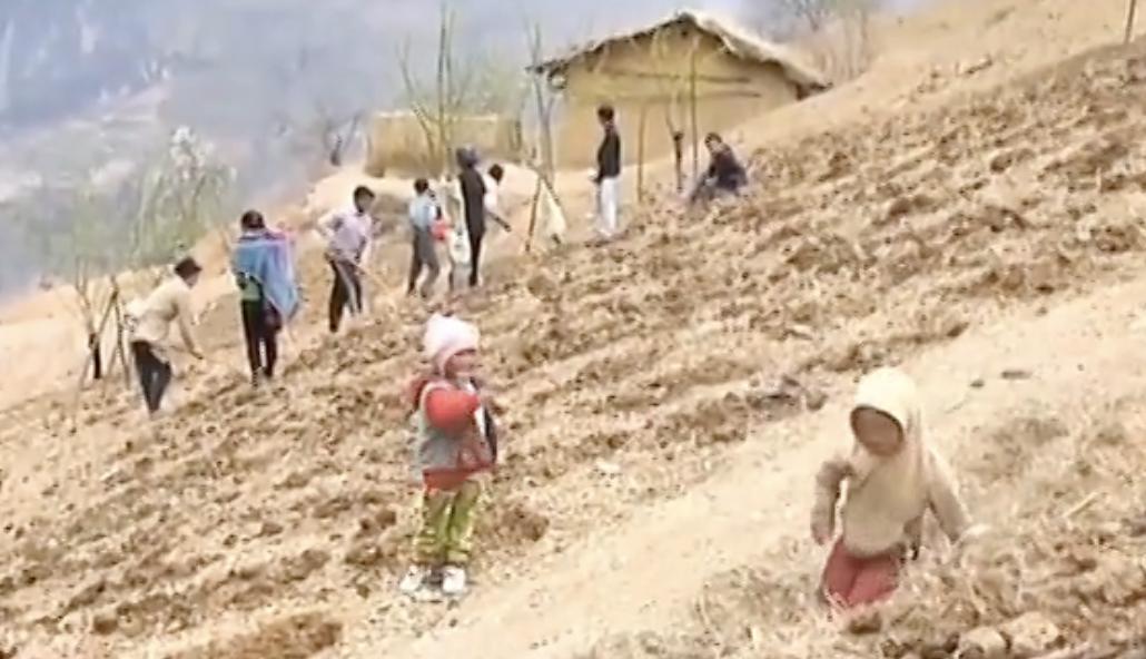 悬崖村古老木梯,悬崖村木梯