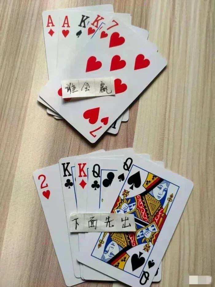 以前不理解别人养宠物,小鳄龟为啥养着养着就断尾了