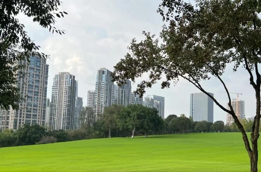 重庆中央公园建设历程,重庆中央公园保亿价格