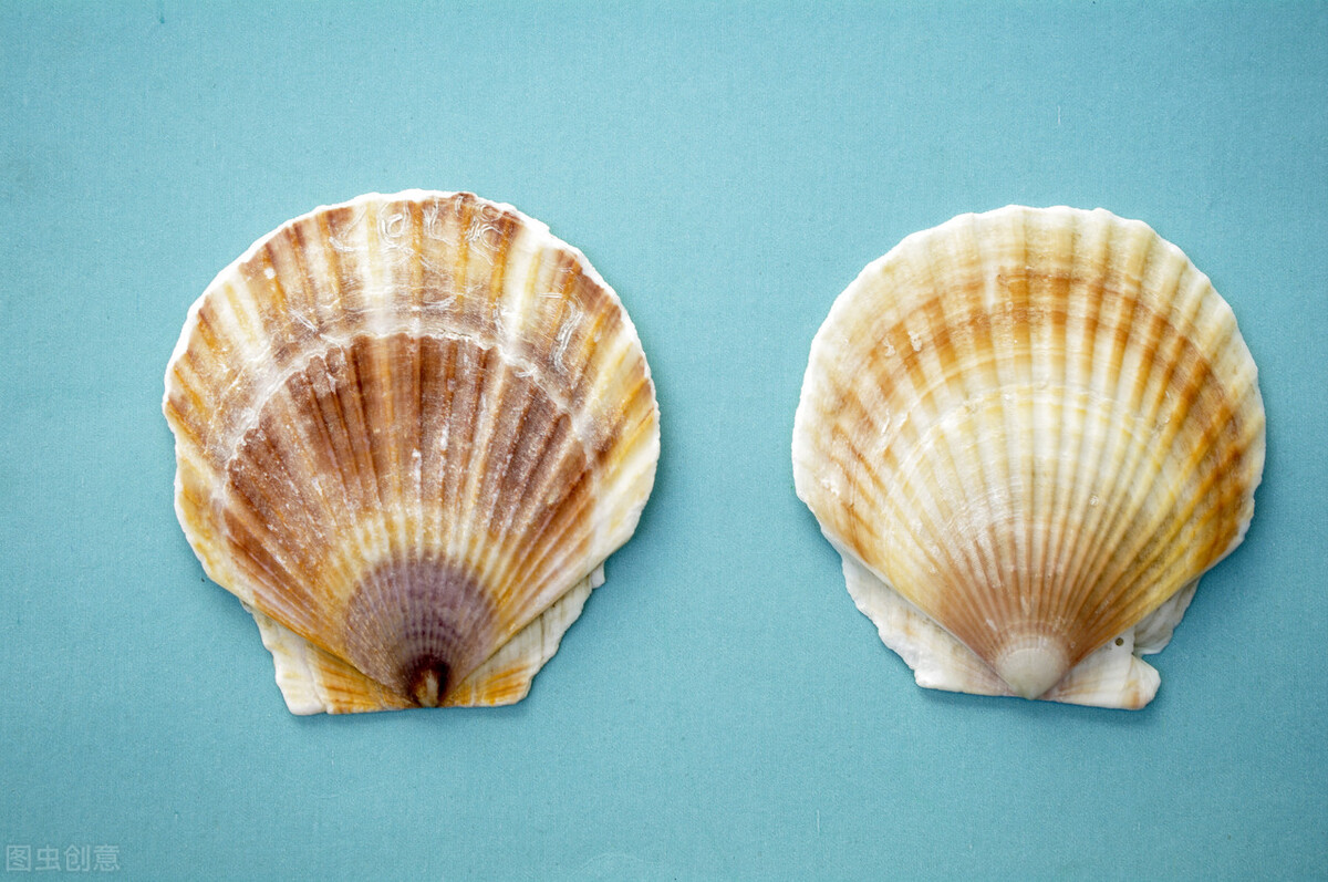 「每日一邮」1992-4《近海养殖