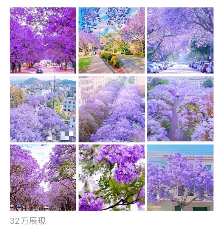 今天我总算找到了，原来在*今条头日**里隐藏着一个海量的免费图库