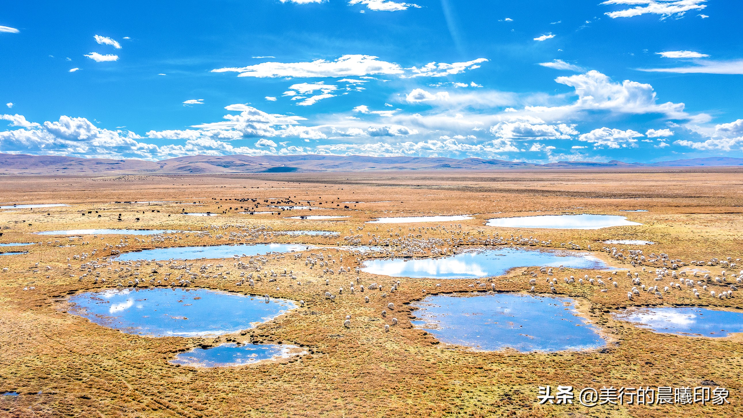 西部自驾三十三天(三十四)——川西高原的绿洲,若尔盖草原