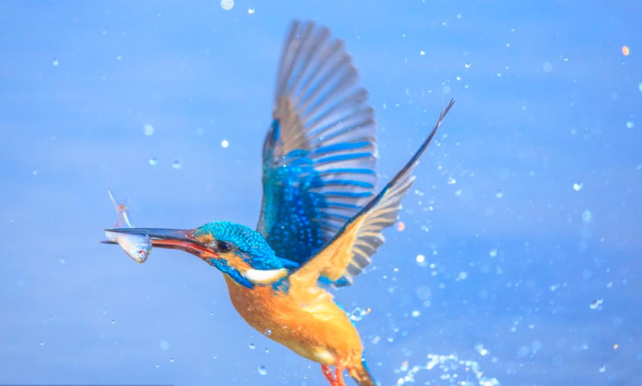 动物的生殖系统和人不一样么,动物的生殖系统跟人一样吗