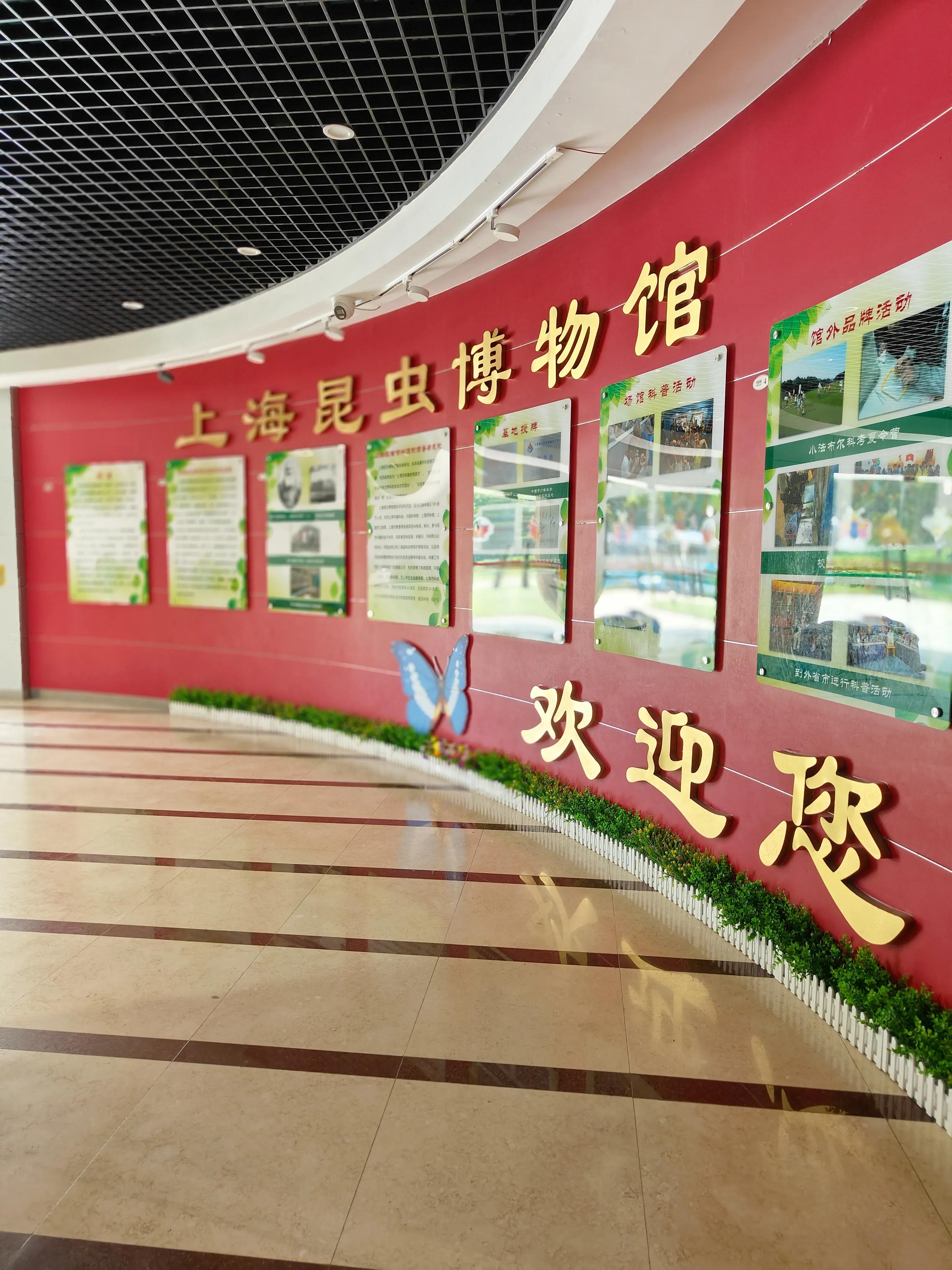 神兽暑假活动攻略之上海昆虫博物馆记