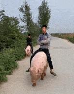 走路走累了坐下歇歇,走路累了继续走就不累了