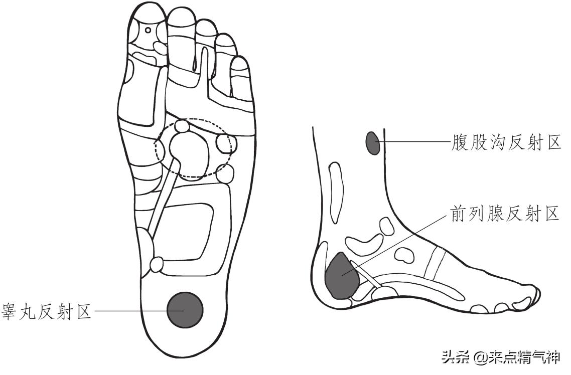 治疝气的足部穴位,小肠疝气快速解决的偏方