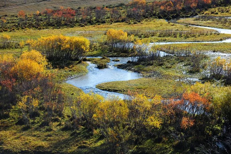 离北京最近的草原避暑胜地,华北夏季避暑好去处