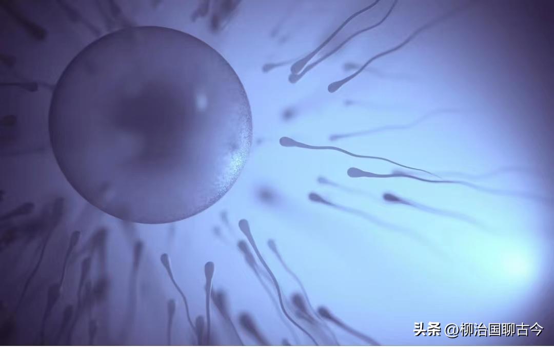 11年，武汉34岁博士11天捐精5次死亡，其父索赔400万，结局如何？