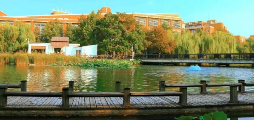 郑州大学世界排名最新,郑州大学在qs世界大学排名2020