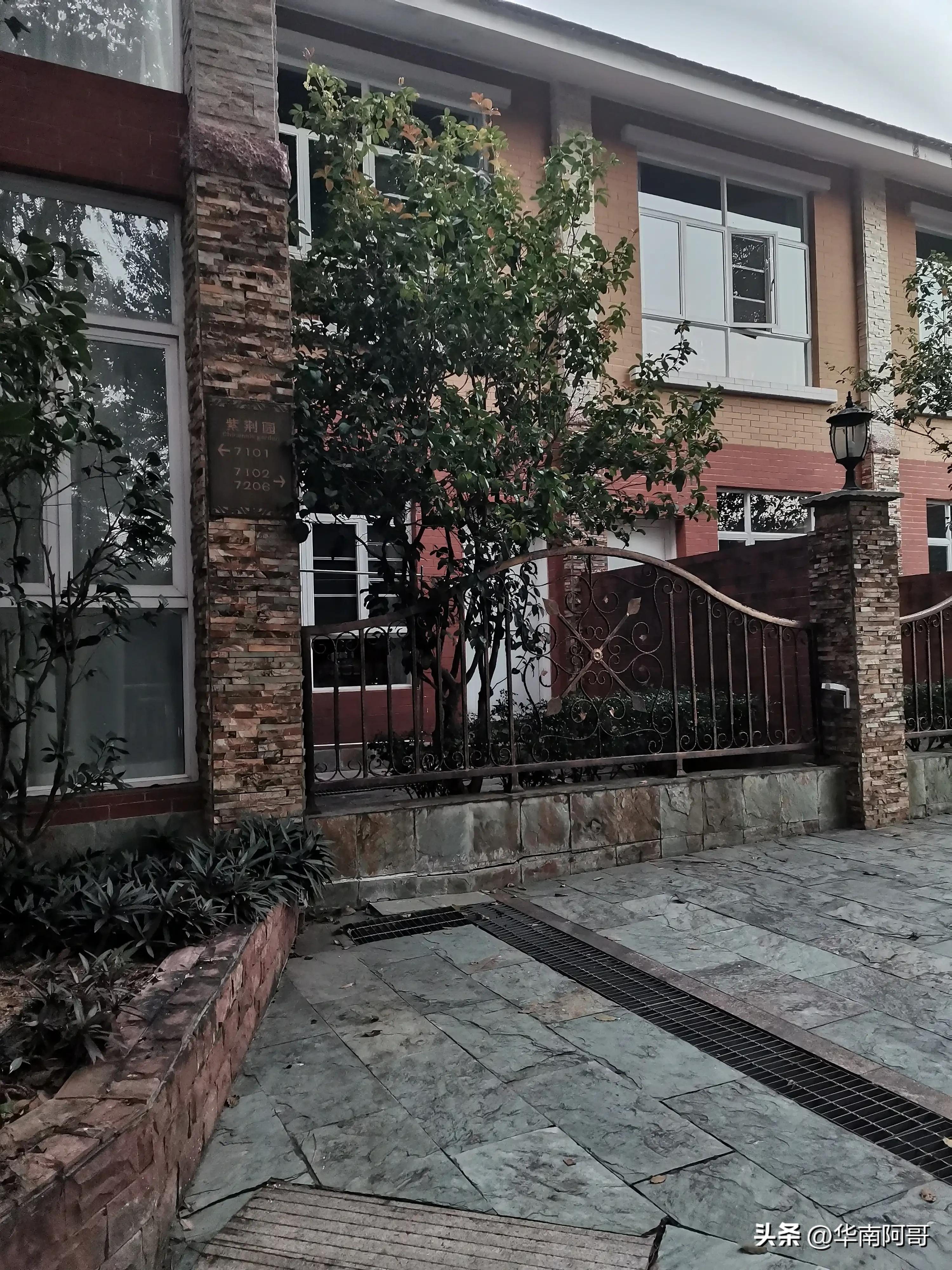 农村大山里爱情电视连续剧,大山里的爱情全集