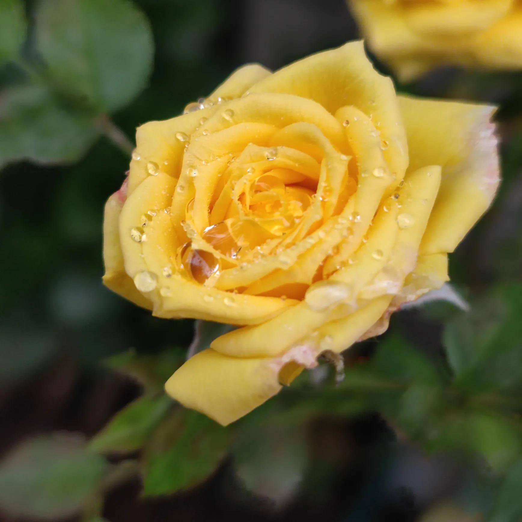 友谊特别好的小作文,优秀作文关于友情的1000字