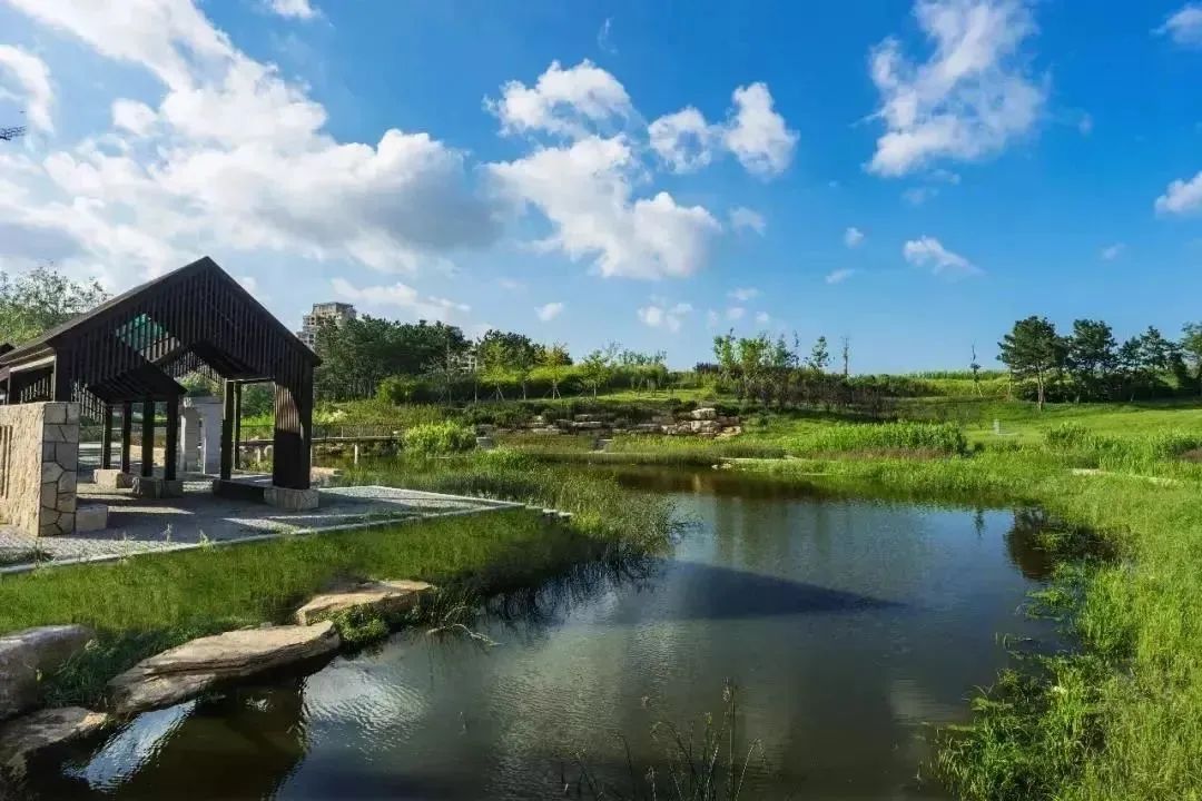 春天里的第一场露营安排,春天的第一次露营开始了