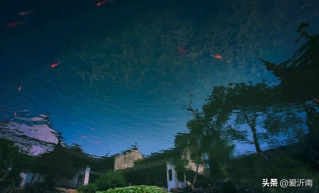 十首绝美夏天诗词大全,微雨过小荷翻榴花开欲然全诗