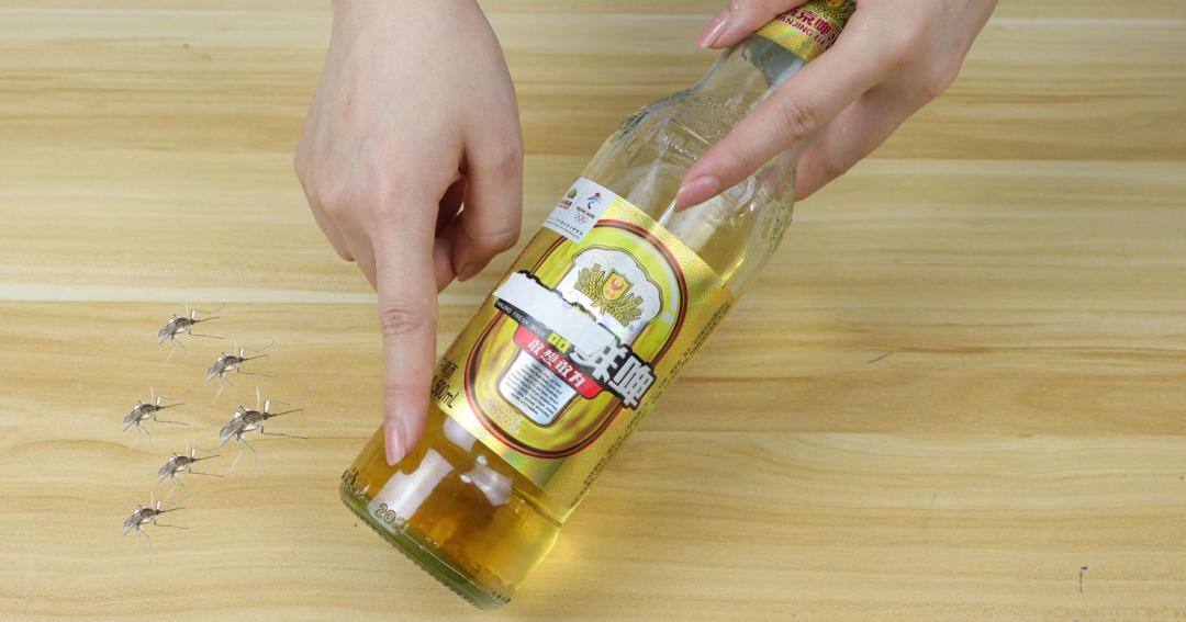 蚊子最怕的不是蚊香而是它,蚊子最大的天敌不是蚊香教你一招