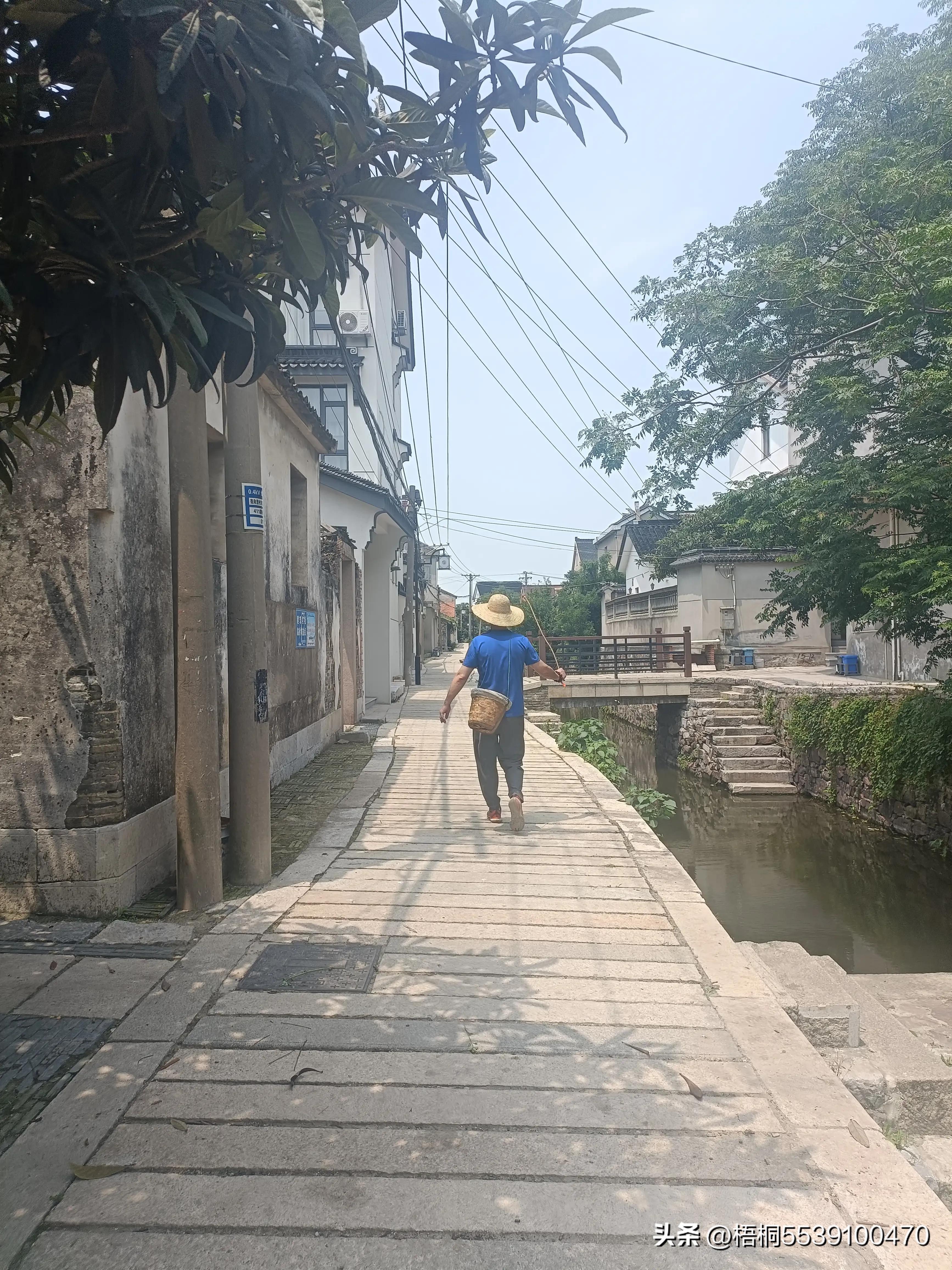 苏州洞庭西山有什么好玩的,苏州太湖东山还是西山好玩