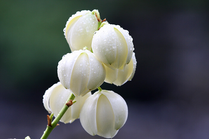 拥有超强直觉能力的三大星座,具有超强洞察能力的星座