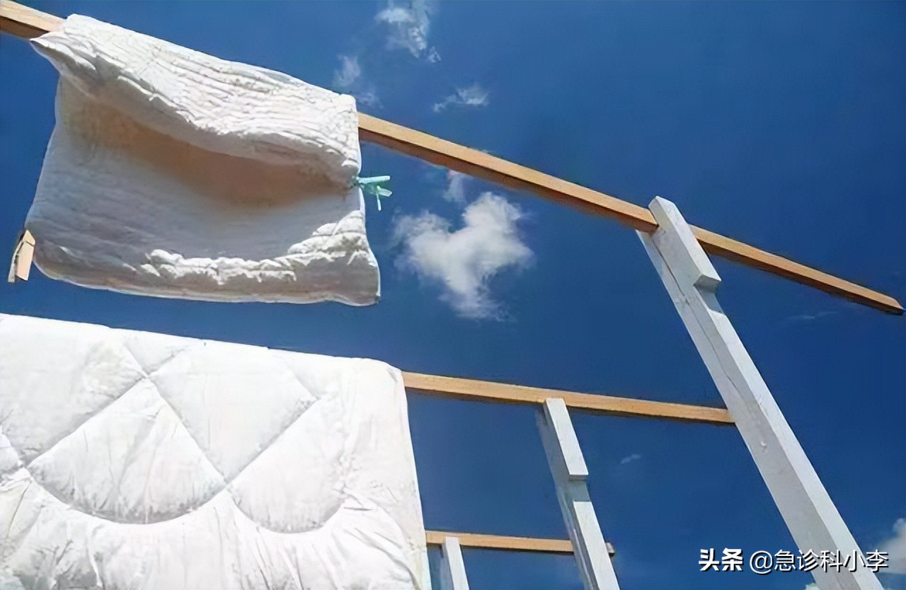 虱子和虱子有什么不同,虱子与人类共存千万年为何不见了