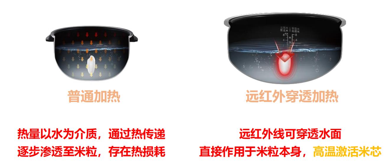 可以做饭的简单电饭煲,能用电饭煲做的简单的饭