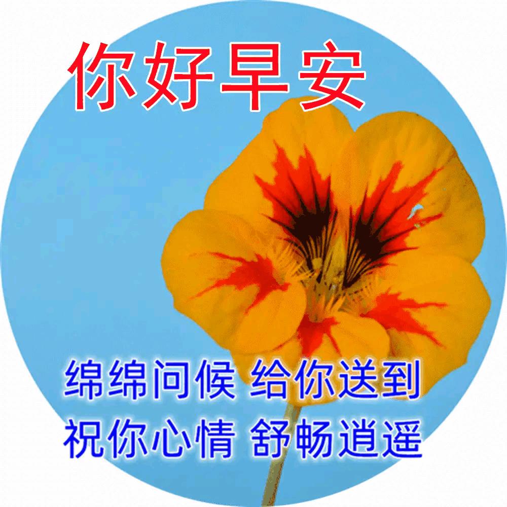 2023年02月27日星期一农历:癸卯年【兔年】二月初八八九第5天