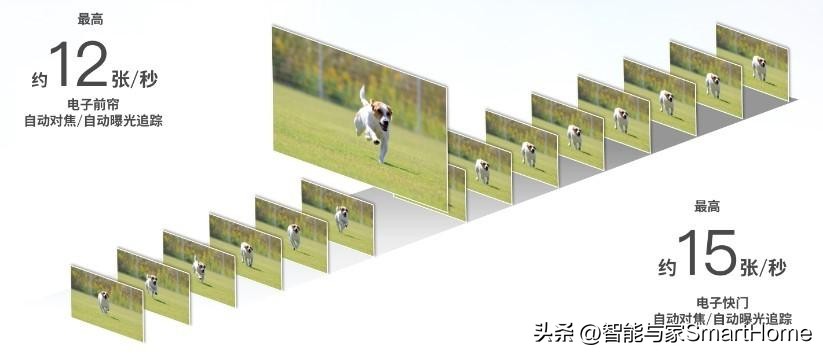 佳能性价比最高的专业全画幅相机,佳能旗舰全画幅相机推荐