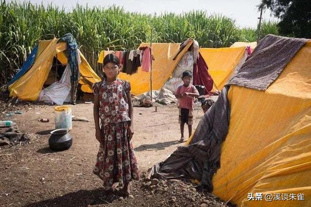 19年记者收集一大证据，揭露印度女性为满足老板，全部被“阉割”