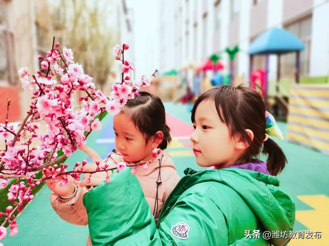 美！潍坊校园春景强势来袭