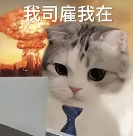 ai开淘宝店赚钱吗,淘宝ai投放靠谱吗