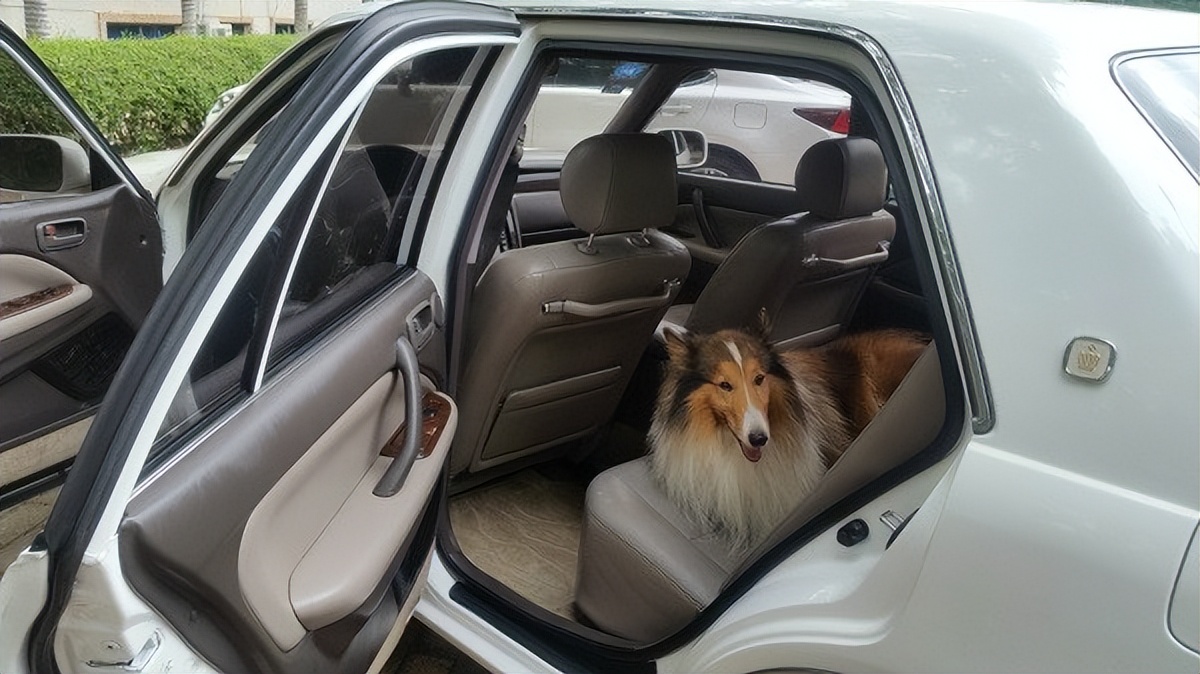 丰田155皇冠,2002款丰田皇冠155