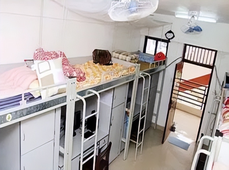 五十三度橙宿舍,五十三度橙教务