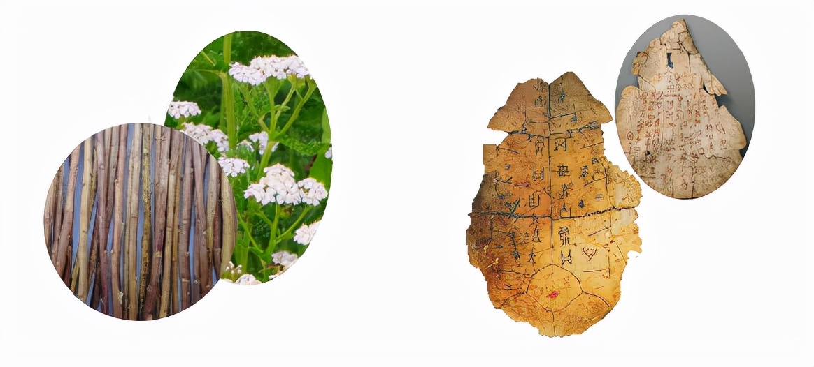 中国数字的起源简介,数字的演变发展史