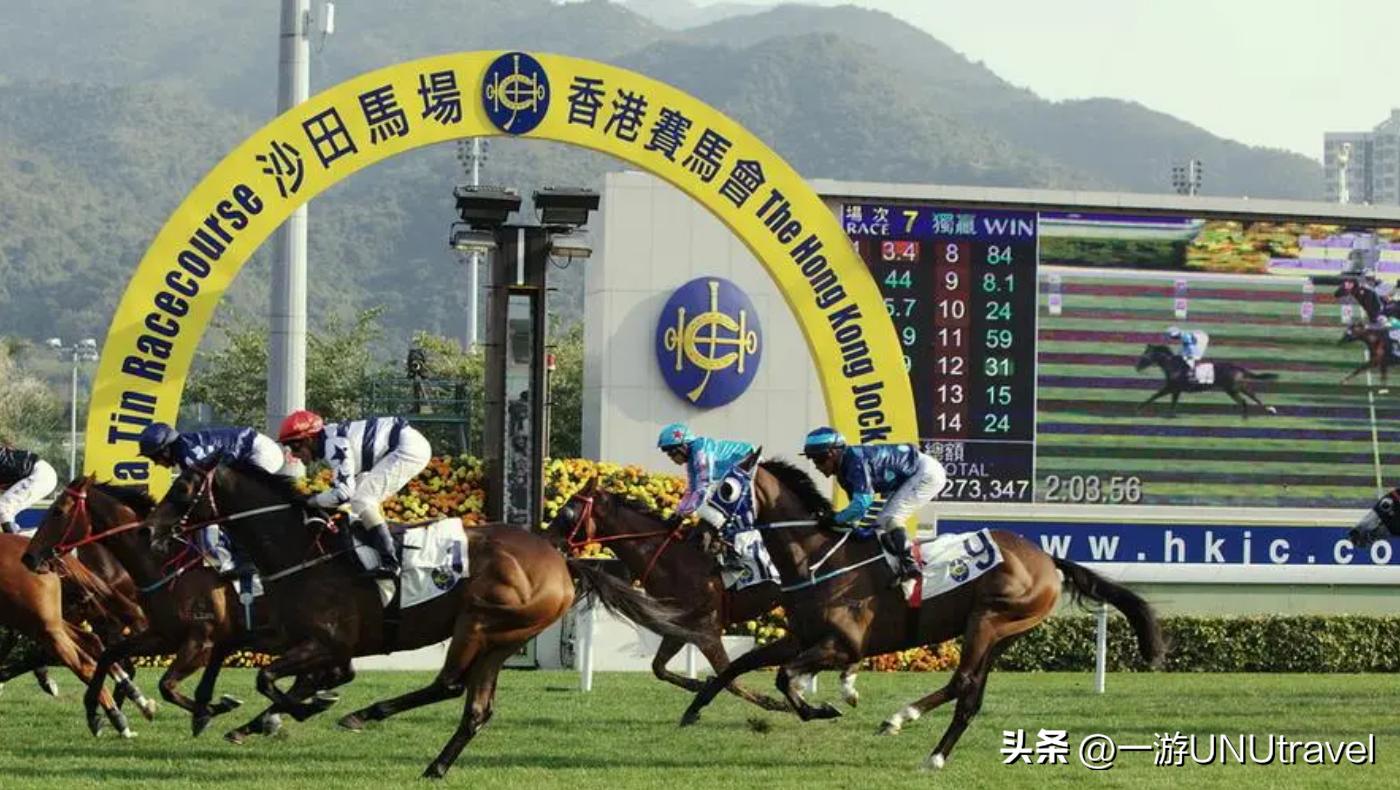 你了解香港赛马吗?这篇文章告诉你怎么去赛马会玩!