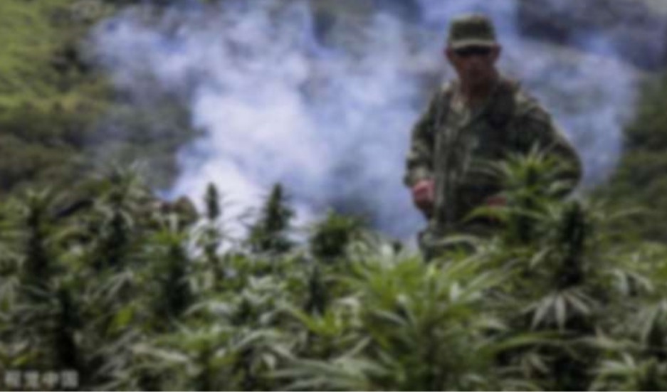 美国真实毒贩有多凶狠,美国缉毒卧底真实被杀