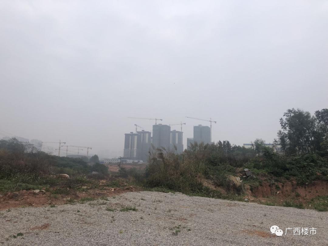 玉林一哥全部视频,正宗玉林一哥