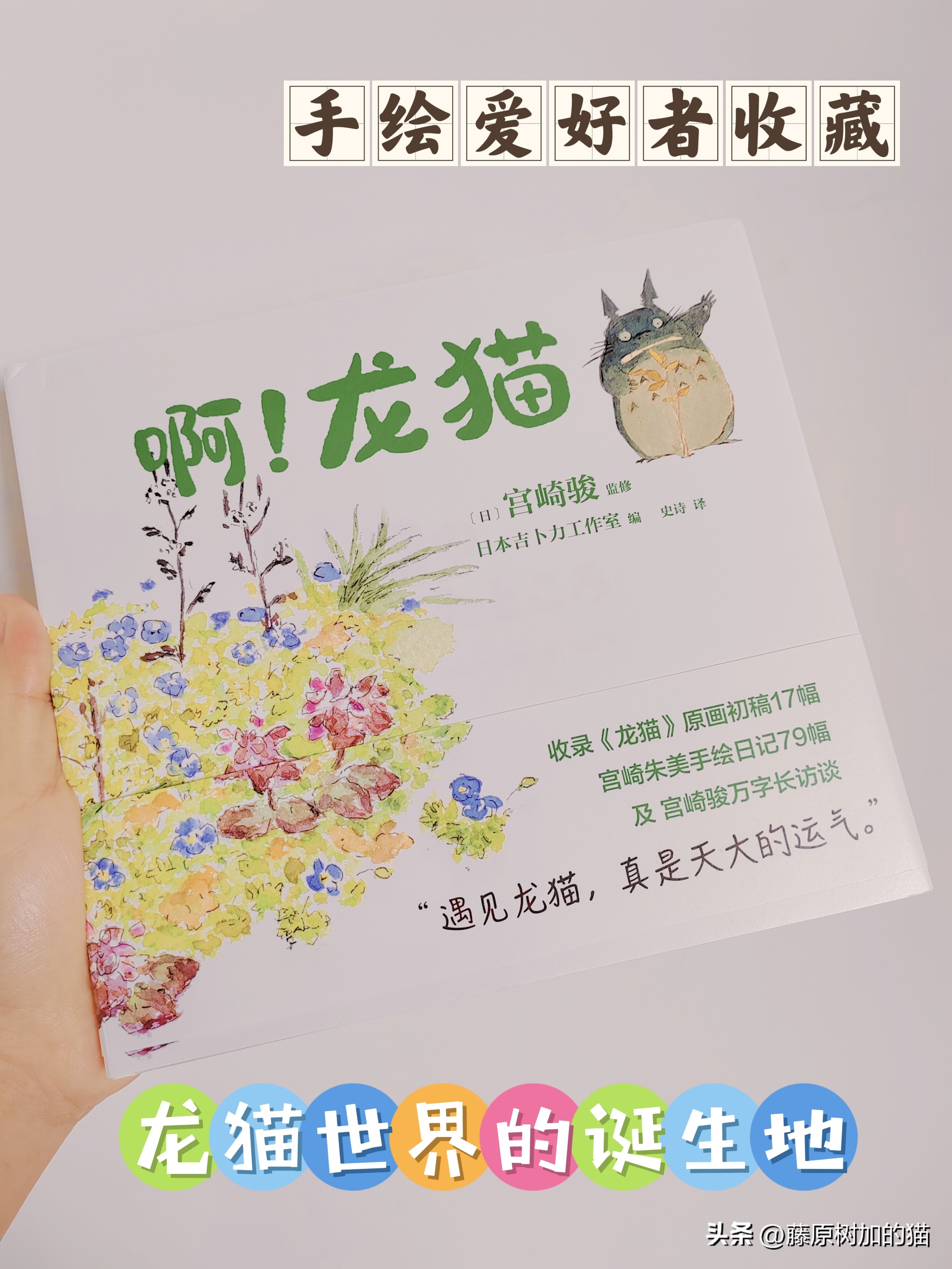 宫崎骏漫画里的龙猫原型 (宫崎骏龙猫一家图片)