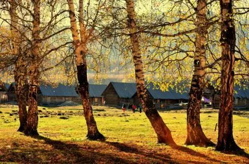 原来*疆新**这么大？终于知道为啥不包邮了...