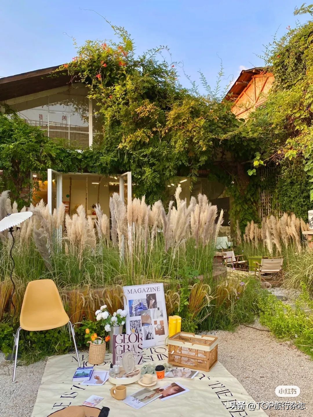 长沙秋景漂亮的地方,长沙周边秋景