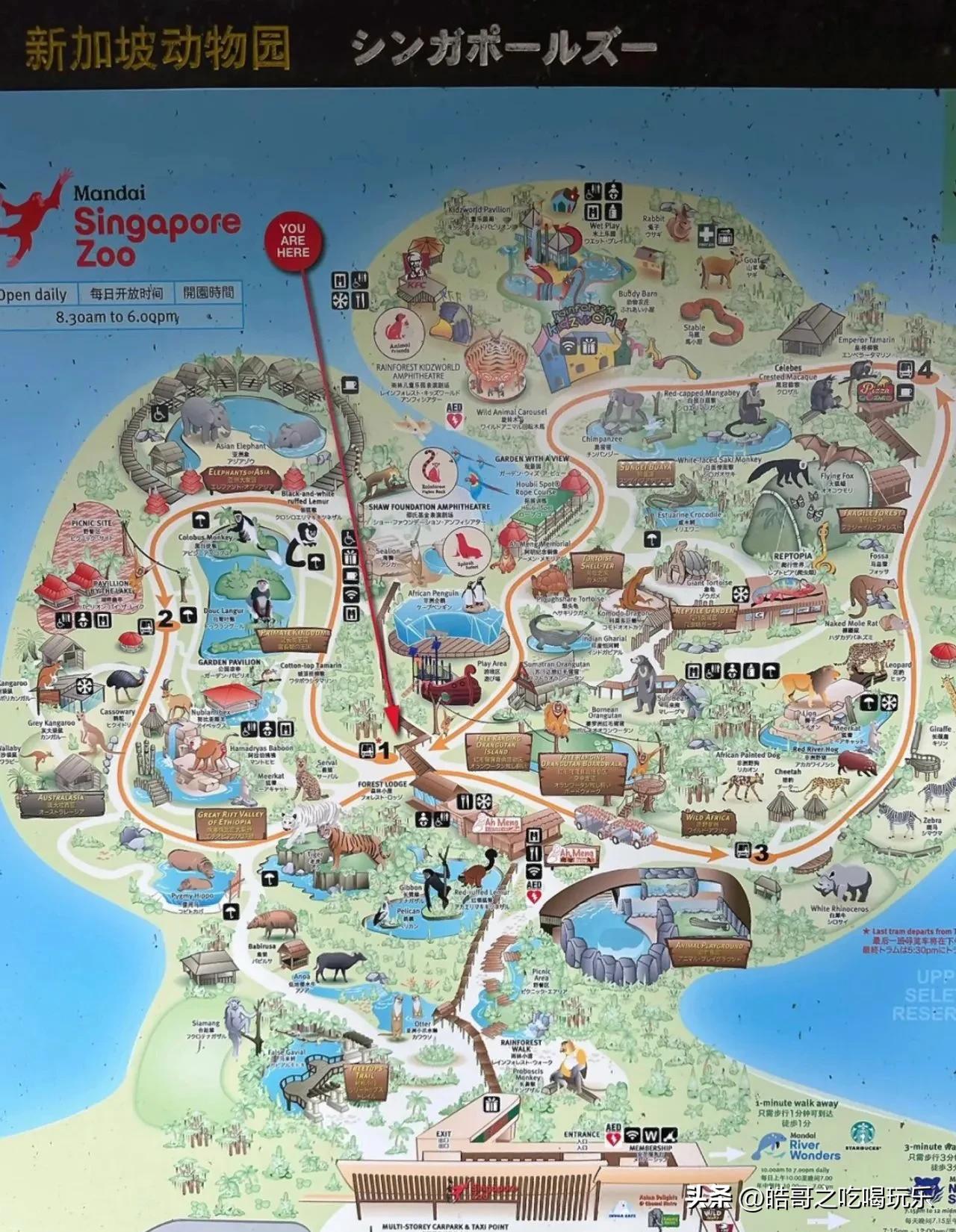 新加坡马来西亚穷游攻略,穷游攻略新加坡点滴时光