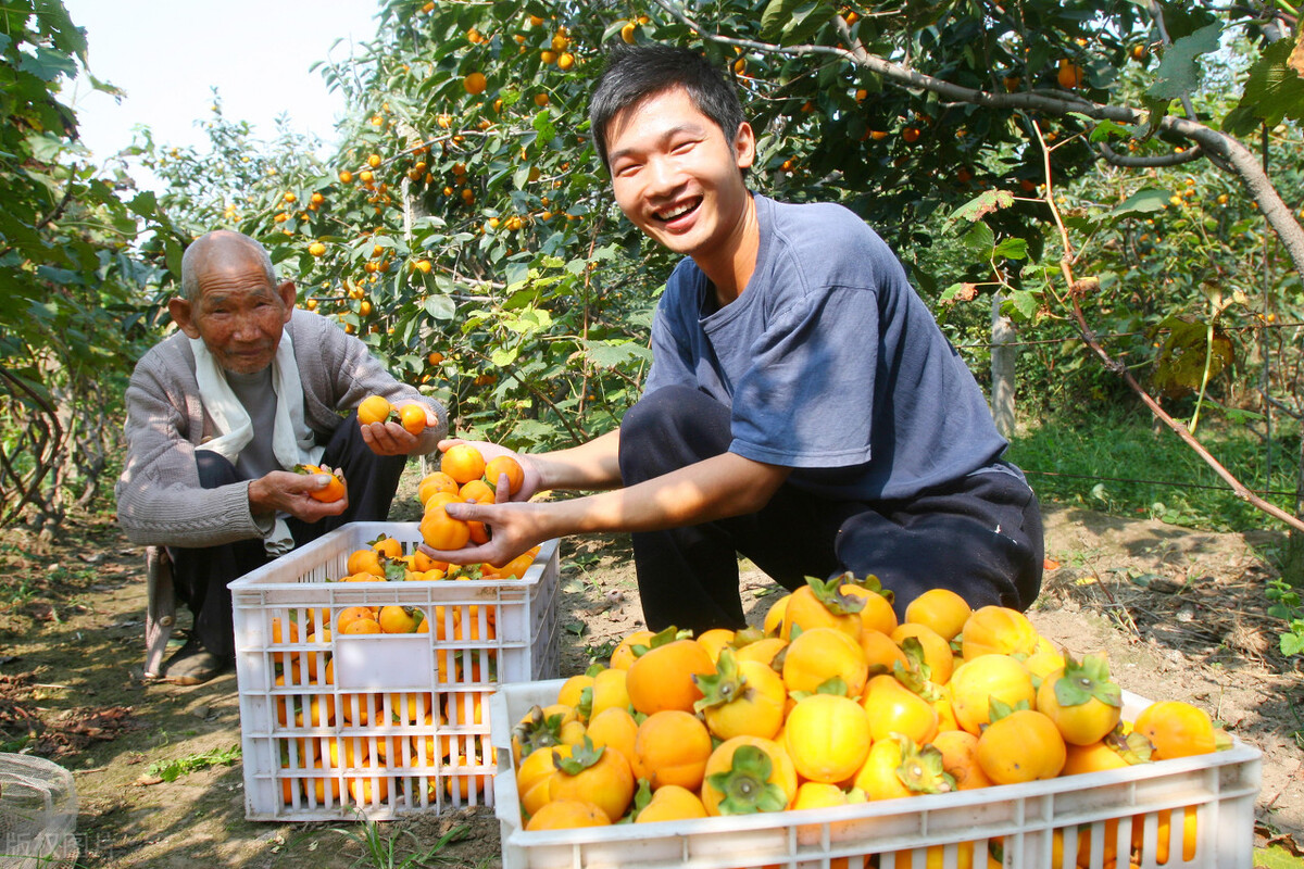 06年日商在中国租1500亩地，搁置5年鲜有过问，神秘背后大有文章