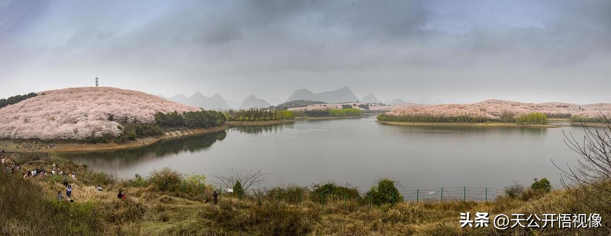 贵州十大旅游景点毕节市旅游景区,贵州有哪些必游的旅游景点