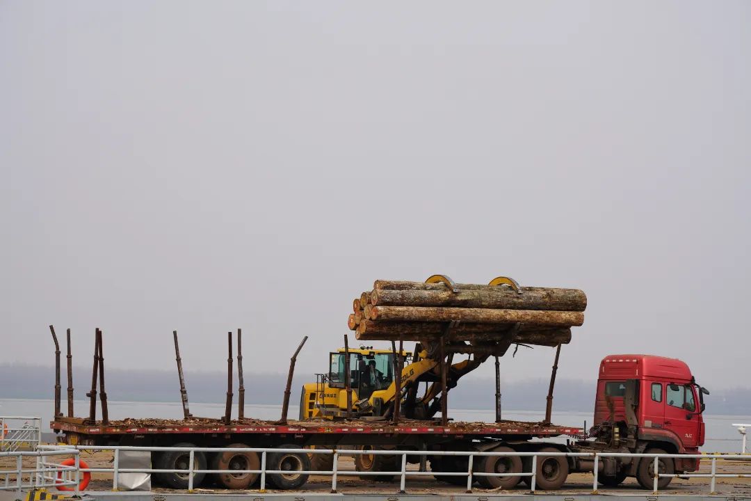 华中国际木业有限公司地址,华中国际木业有限公司