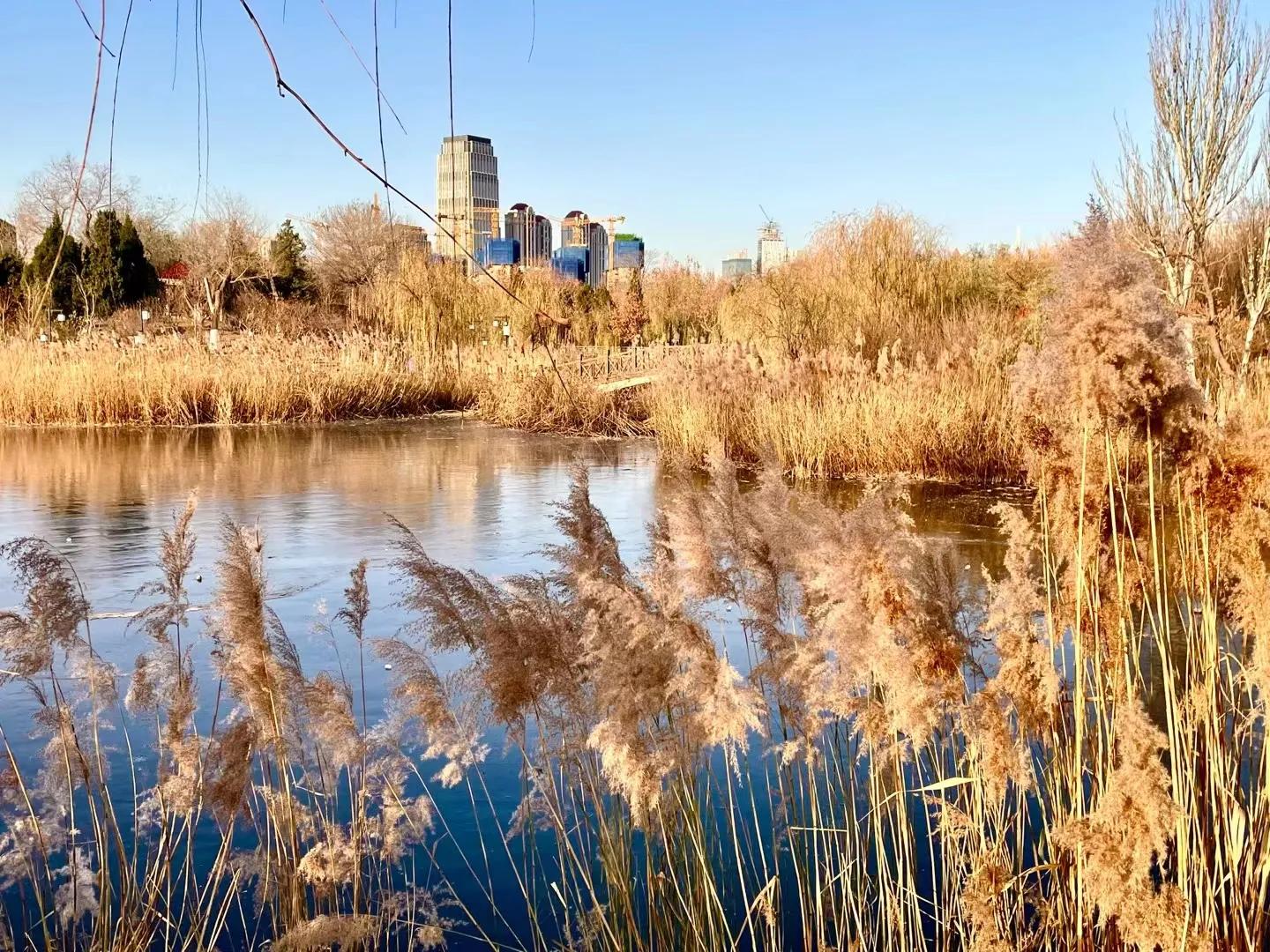疫情下的天津地铁,疫情下的天津宝坻