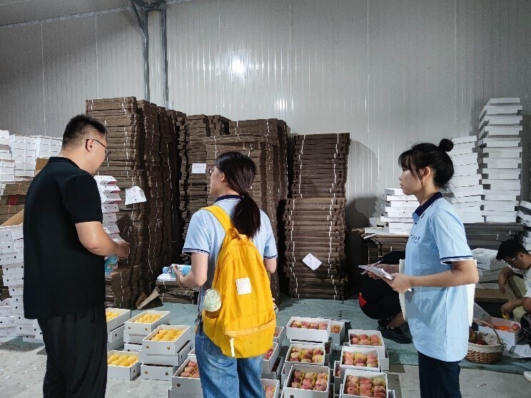 长大学子三下乡:深入陕西铜川,助力乡村振兴