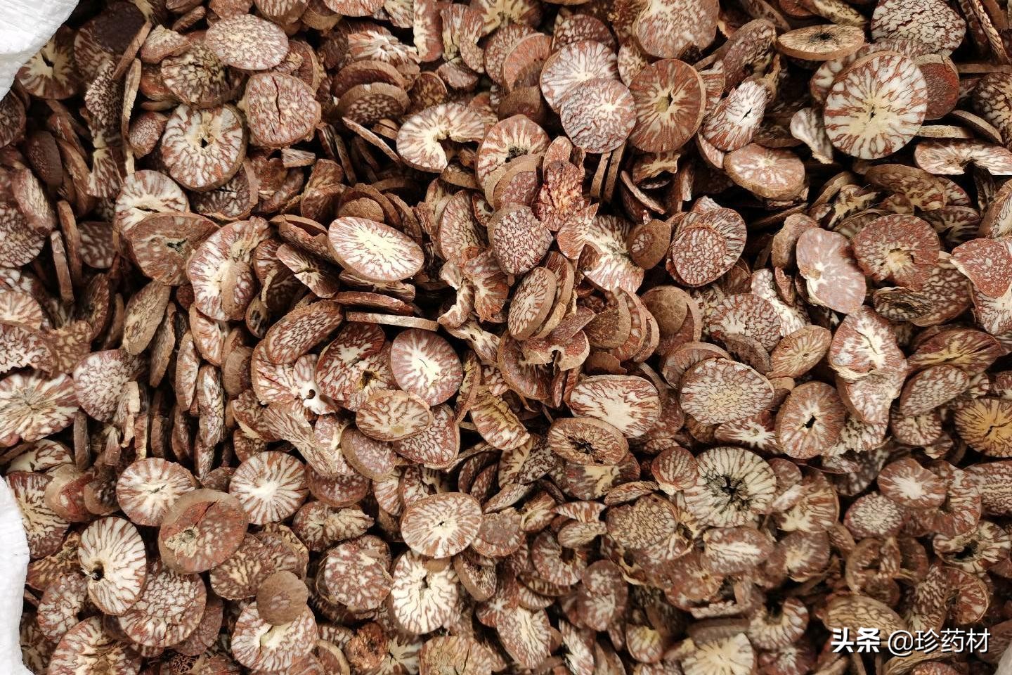 中药材市场快讯,黄连市场快讯