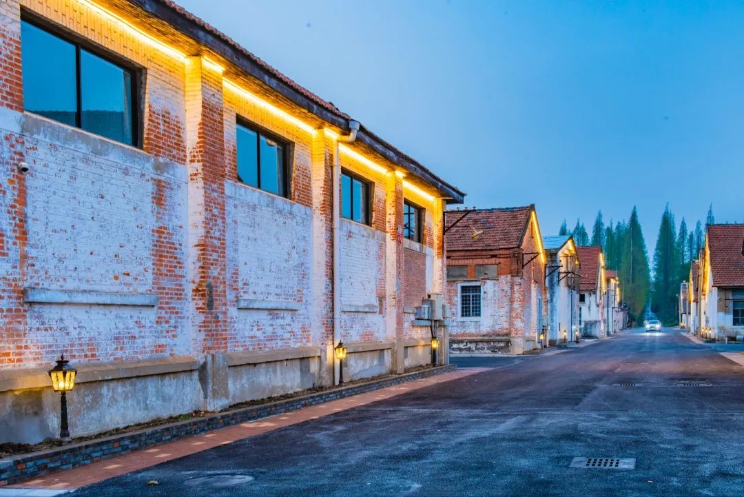 各地文旅打卡点,上海文旅攻略