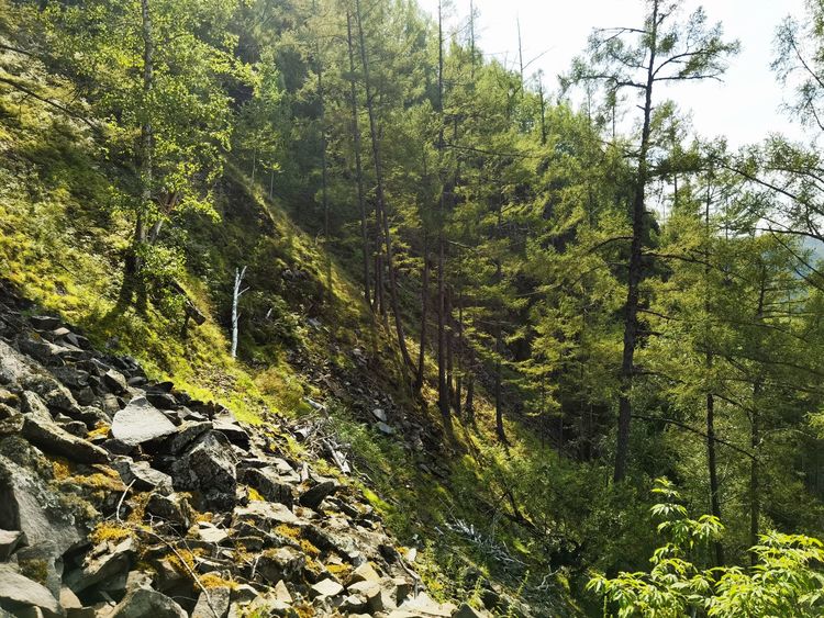 龙江县龙江第一湾,龙江第一湾山顶全貌