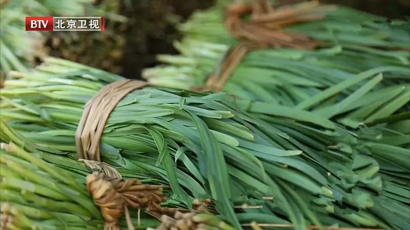春天明目野菜怎么吃最健康,春天养肝第一菜