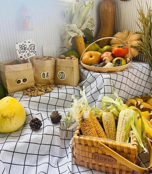 生态环创幼儿园自然角,幼儿园环创自然角实验